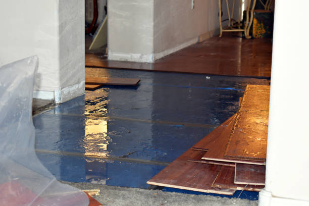 Professional Basement Flooding technician working in Red Hill, PA